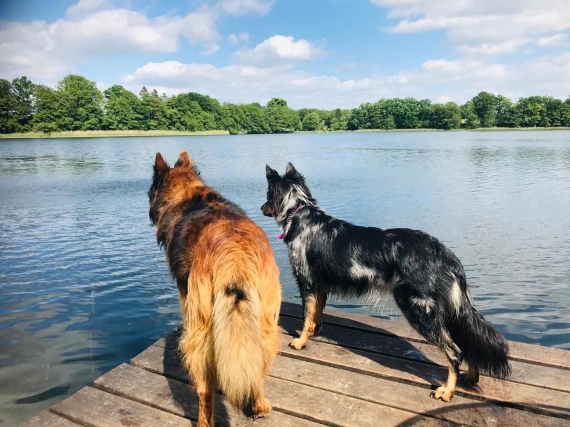 Ferienhaus Seeresidenz Am Muehlensee Godern Buitenkant foto
