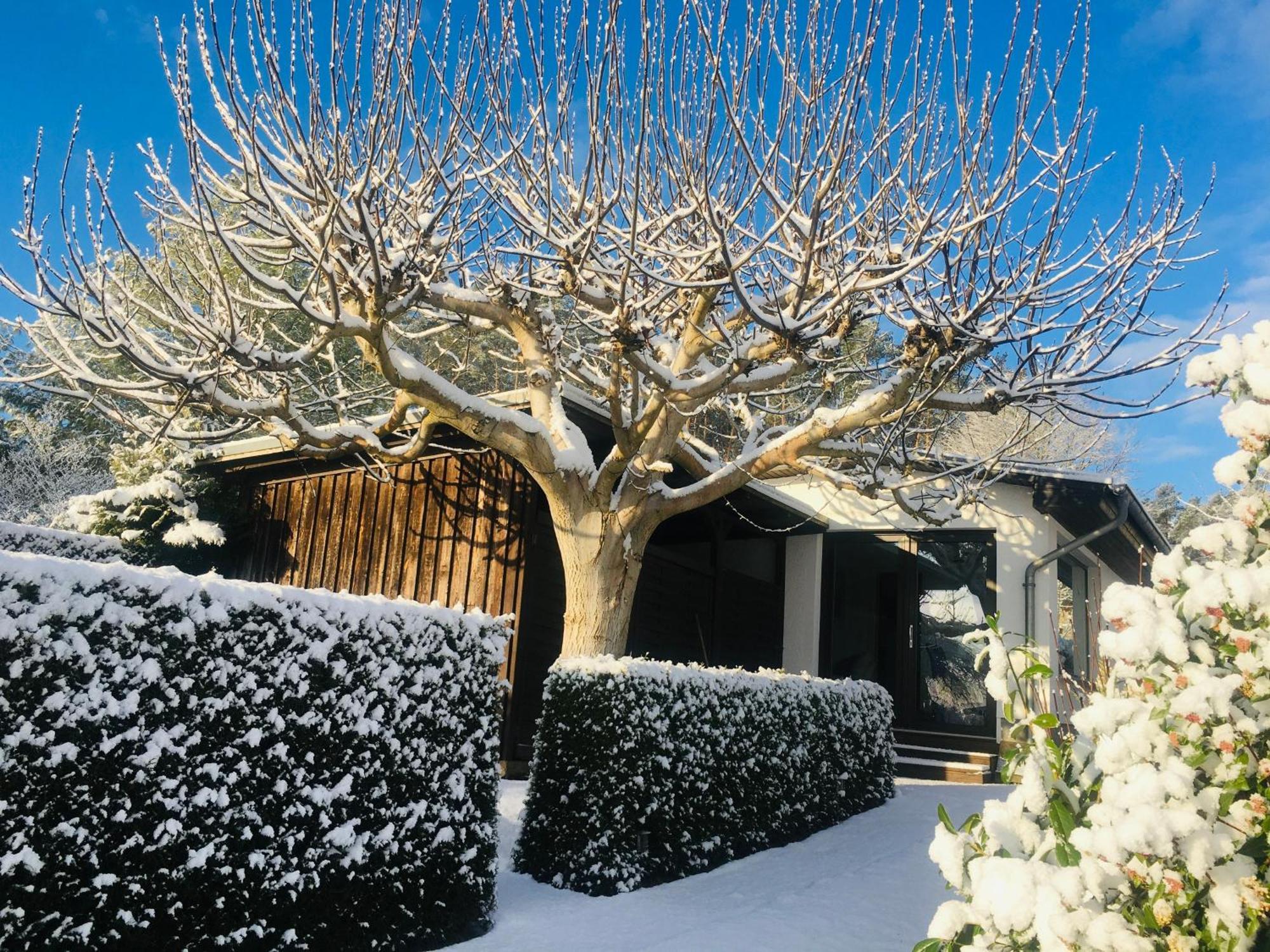 Ferienhaus Seeresidenz Am Muehlensee Godern Buitenkant foto